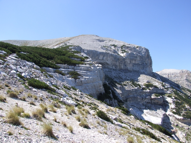 Impronte di fossili